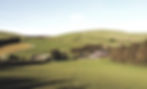 Helen farm pic.jpg