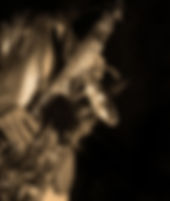 Jazz Saxophone Player