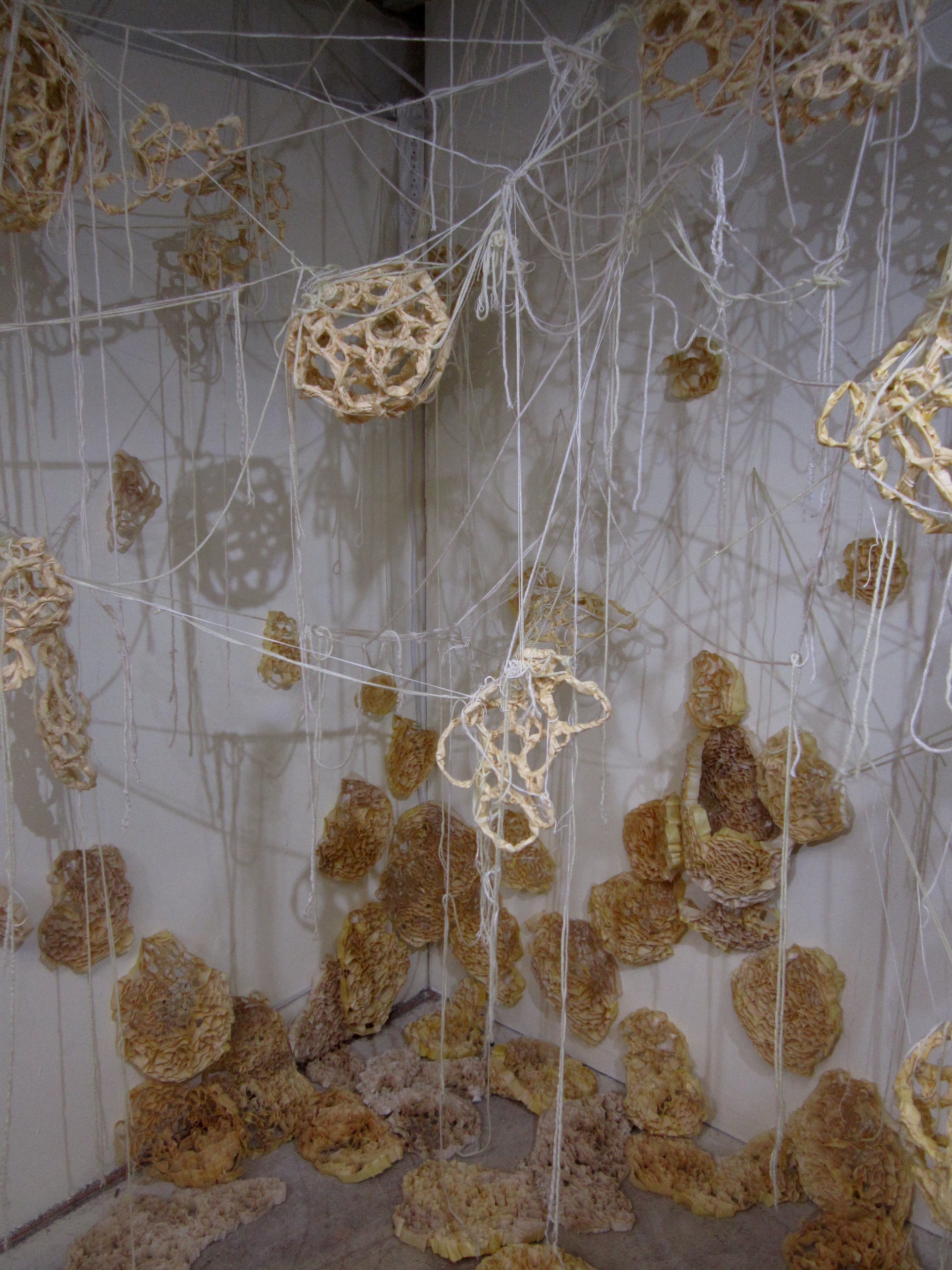 eARThly Biomimicry Series