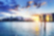 miami_landscape.jpeg