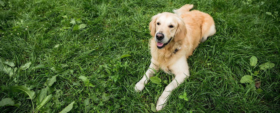 AdobeStock_250630450.jpeg