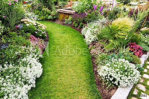 AdobeStock_165261531_Preview.jpeg