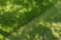 AdobeStock_349027895.jpeg