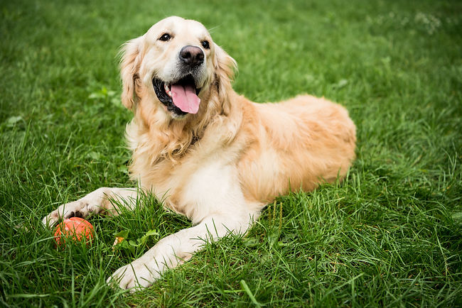 AdobeStock_250628311.jpeg