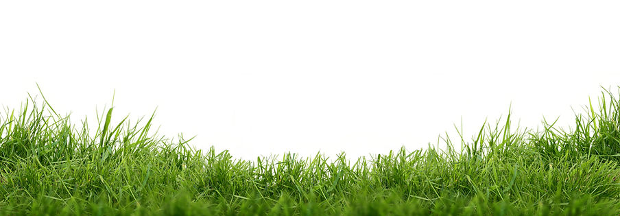 AdobeStock_270189402.jpeg