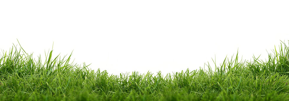 AdobeStock_270189402.jpeg