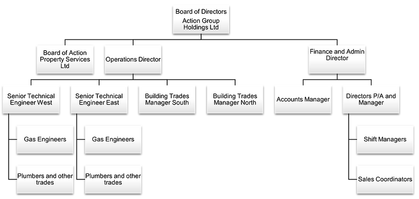 The Action Group of businesses structure