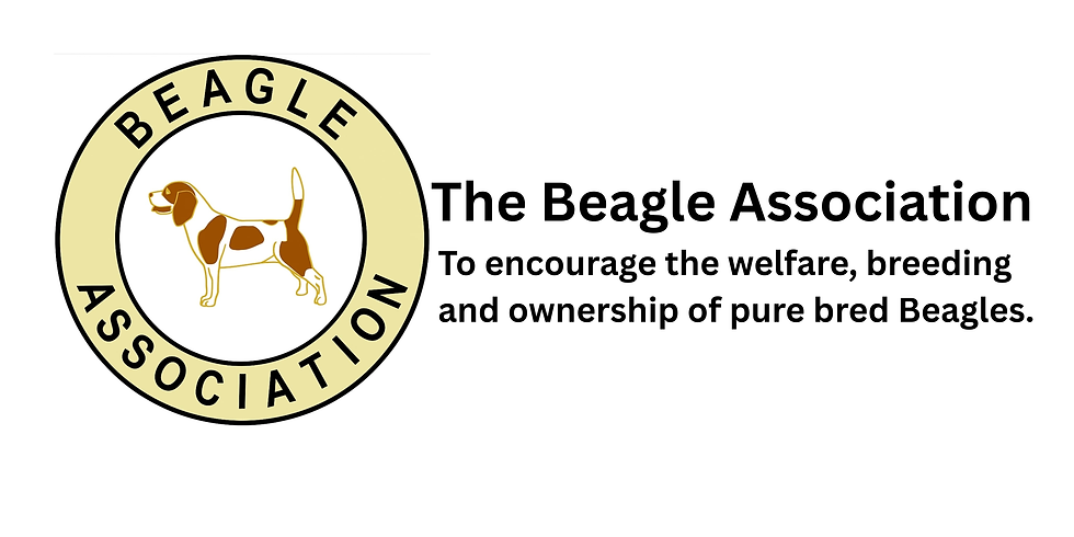 The Beagle Association.png