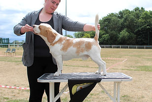 KCGCD 1 and LD 2.JPG