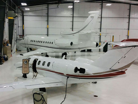 How Bird Strikes Affect Aircraft Exterior Maintenance