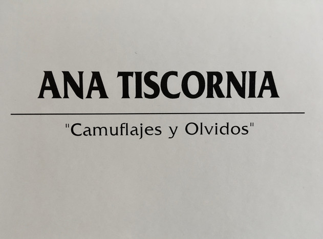 Ana Tiscornia-"camouflage and forgetting"