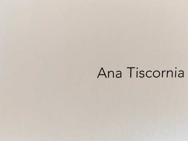 Ana Tiscornia