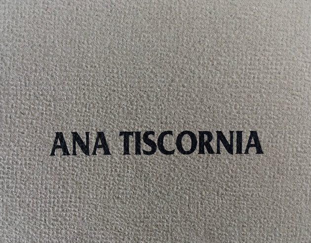 Ana Tiscornia