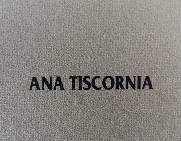 Ana Tiscornia