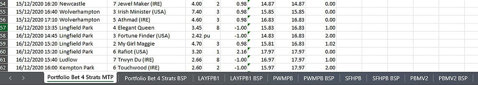 portfolio bet