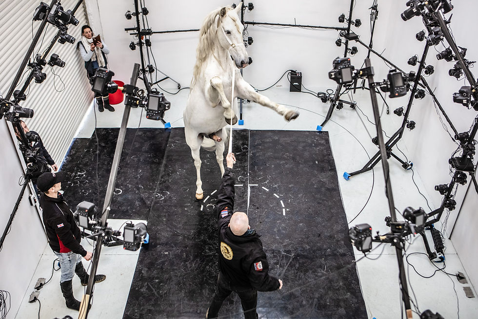 Photogrammetry 3D Volumetric Capture