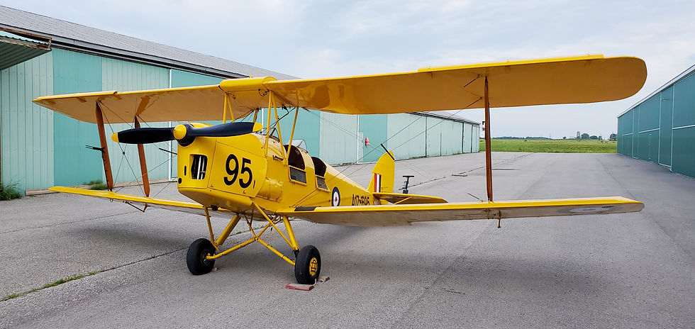 Tiger Moth.jpeg
