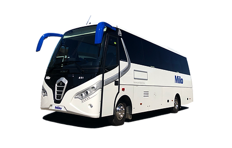 BUS TRANSPARENCIAS. JUNIO.png