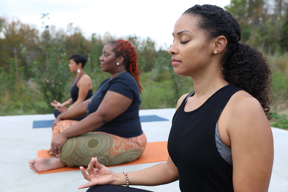 Soul Wellness yoga meditation.jpeg
