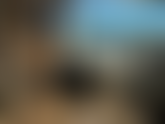 注目の「ワインオーストリッチ」