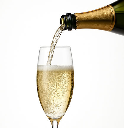 ChatGPT Image Nov 24, 2025, 09_07_13 PM_edited.jpg