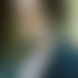 Frank Custom - LOTUS สะท้อนเอกลักษณ์วัฒนธรรมและประเพณีประเทศเกาหลี