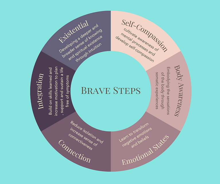 the six domains of the Brave Steps program