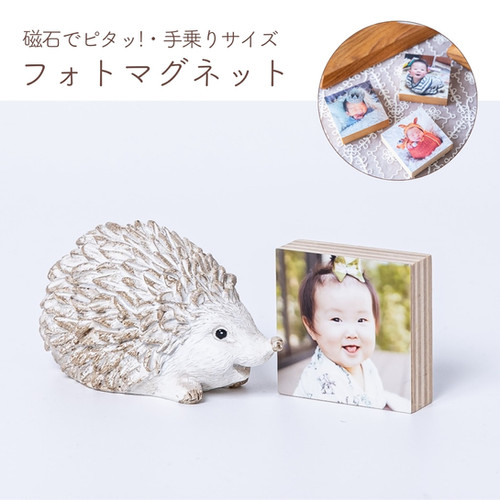 フォトマグネット | 木製フォトグッズのお店 KIPPO