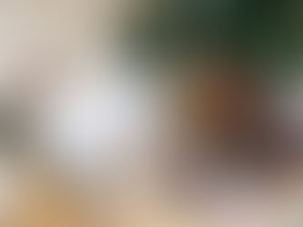 クリスマスの飾り付けに