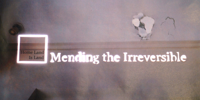 Mending the Irreversible 2021_ installation_ variable.jpeg