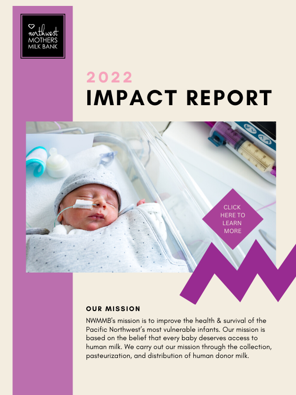 2022 impact report cover