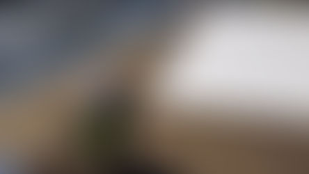 How to Maintain a Commercial Flat Roof for Maximum Lifespan