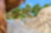 _DSC5041_edited.jpg