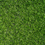 Thumbnail: Astro turf Carpet