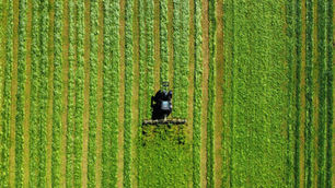 Boost Ag & Building Brands with Free UAE Listings