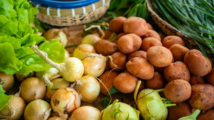 Fresh vegetables