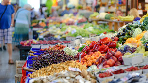 Organic Food Supply