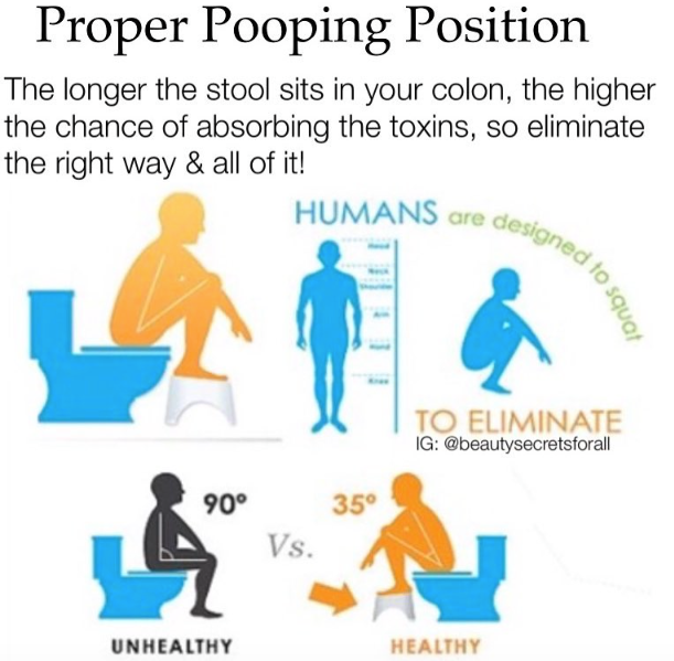 Sit, Squat, or in Between? Learn Proper Pooping Position