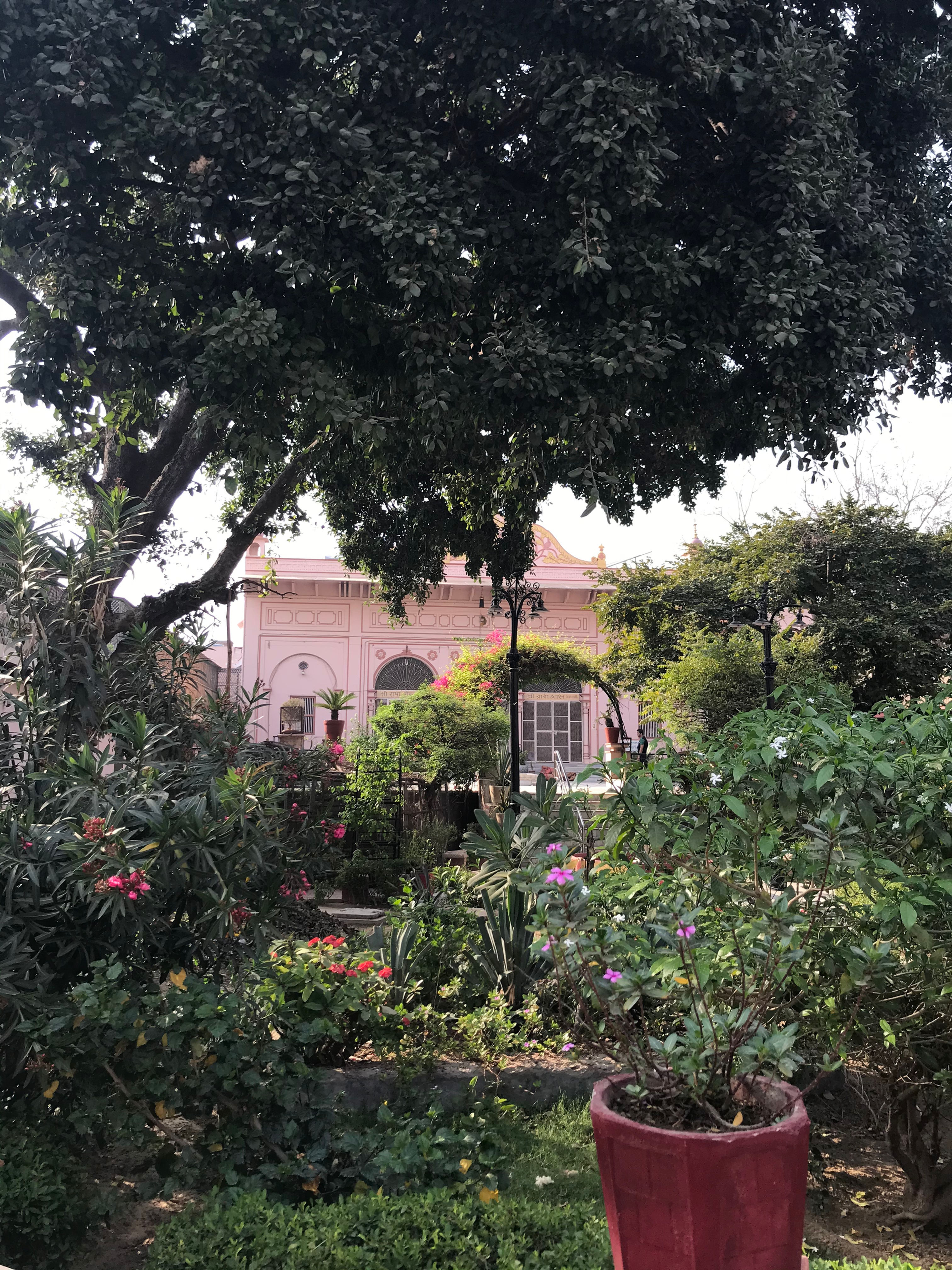 4.ジャヤラーダーモーハナ(サチーナンダナジー).m4a