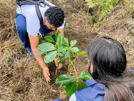 En la Fundación Las Golondrinas, la educación se vive con propósito. 🌿
