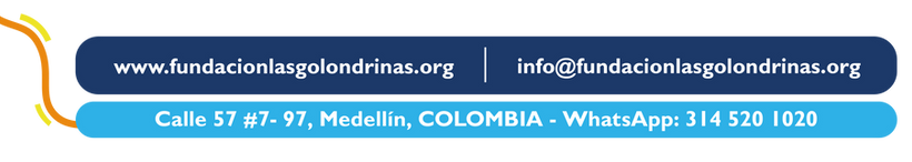 banner 2 banner_Mesa de trabajo 1 copia.png