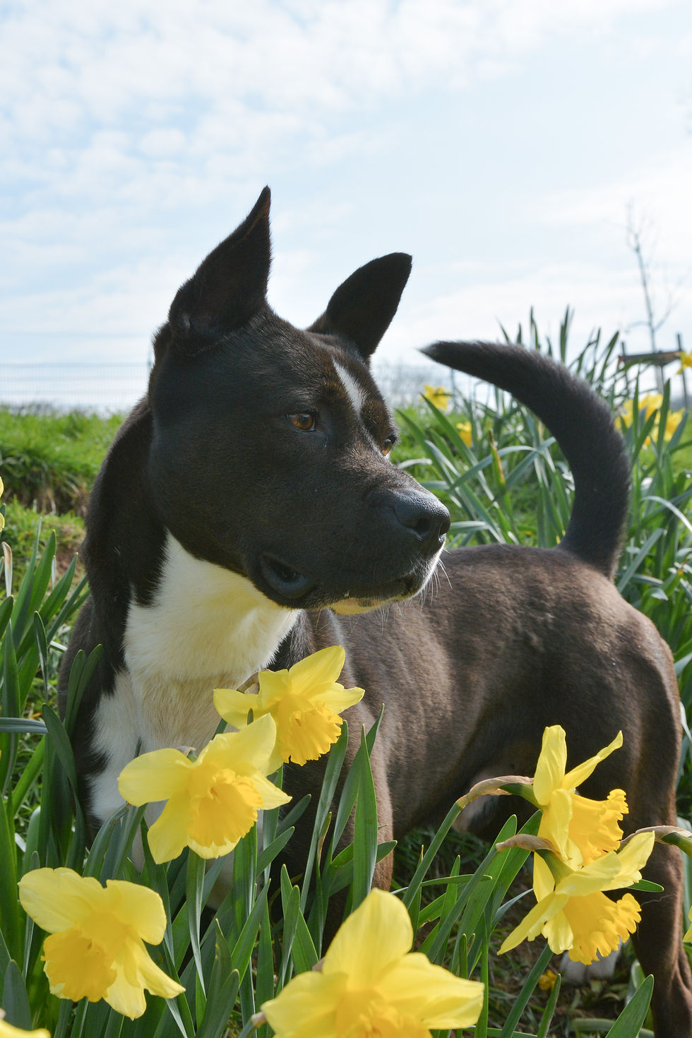 Foto 23.03.26, 10 40 51 (1).jpg