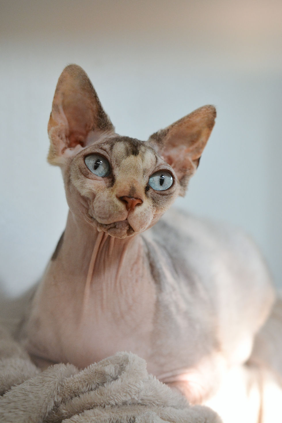 Foto 23.03.26, 12 09 02 (1).jpg