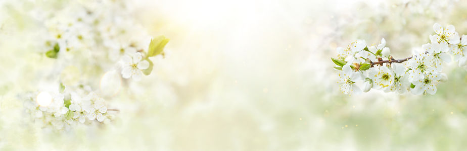 shutterstock_1707965908_edited.jpg
