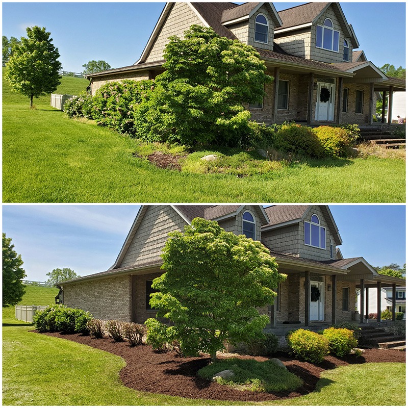 GrassBusters Lawn Care & Landscaping - Business Photo