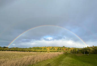 rainbow over the farm