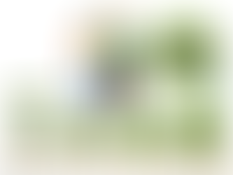 다솜재가복지센터 절차안내