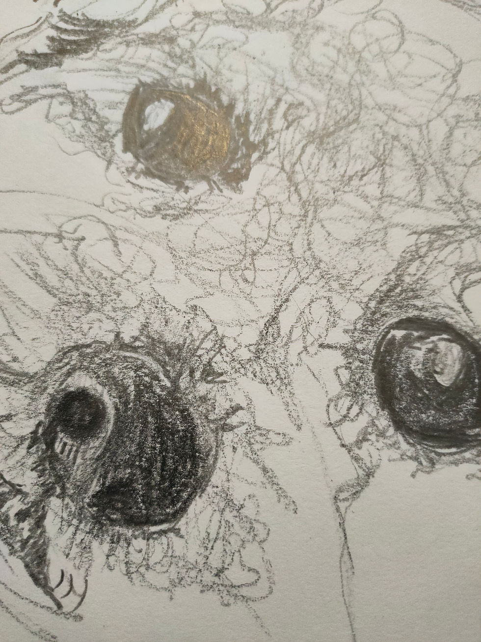Drawing