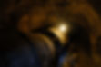 DSCF1883.jpg