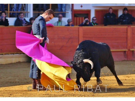 Rion des Landes: fiesta campera 19 novembre 2017